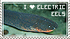 Electric Eel love
