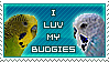 Luv my Budgies by Animal-Stamp