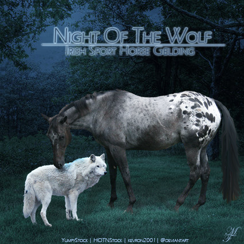 Night of The Wolf