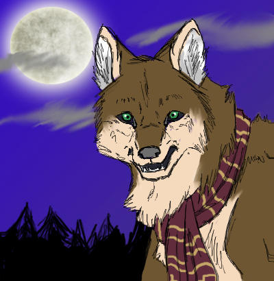 Wolf Animation Final by KasaraWolf on DeviantArt