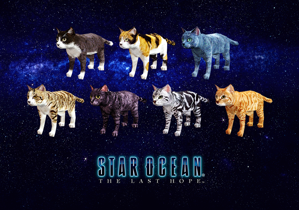 キャッツアイ•スターオーシャン4
