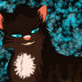 Hawkfrost