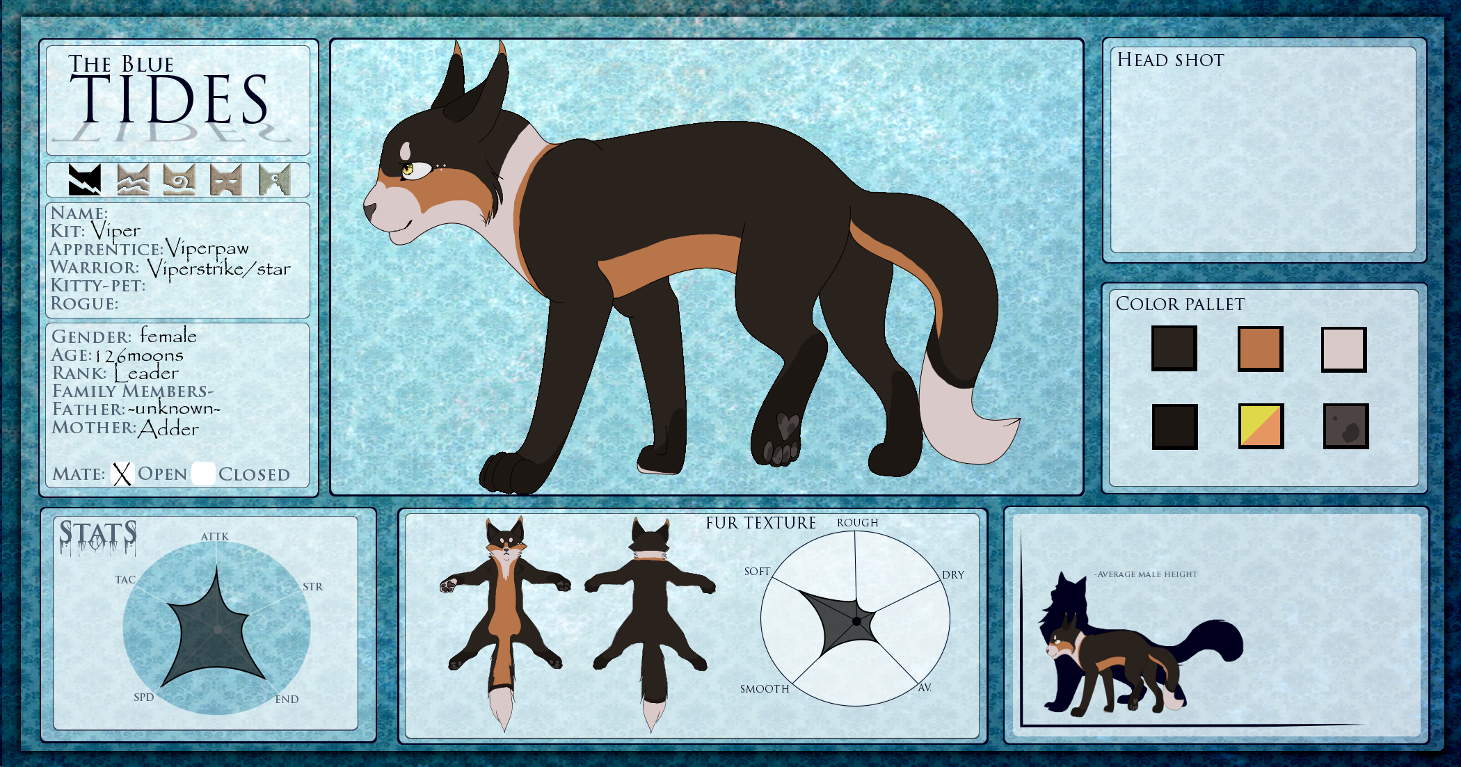 :TBT: Viperstar of Thunderclan