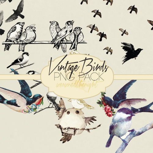 Vintage Birds Png Pack #2