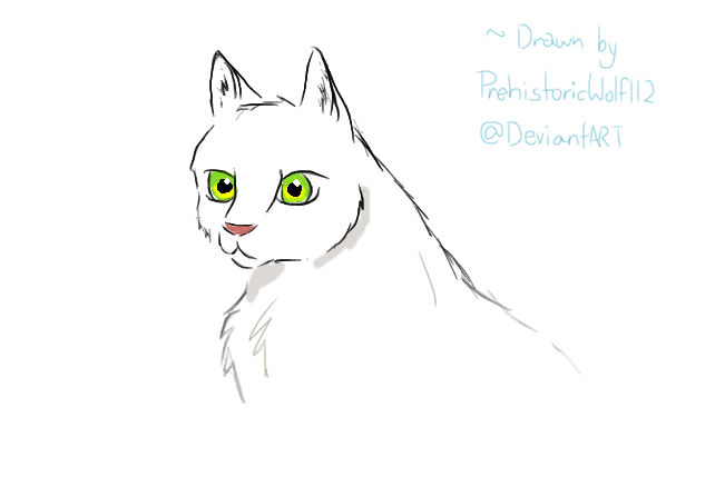 White Cat by PrehistoricWolf112 on DeviantArt