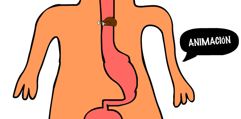 Animacion Educativa Sobre El Sistema Digestivo By Loulouvz On Deviantart Animacion Educativa Sobre El Sistema Digestivo By Loulouvz On Deviantart
