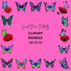 Sweet Neon Butterfly Set Of 36 Sublimation