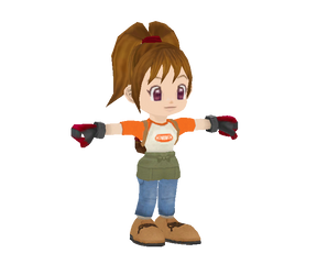 Harvest Moon Another Wonderful Life - Player