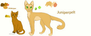 Juniperpelt and Amberpaw of SunClan