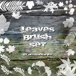 leaves brushes