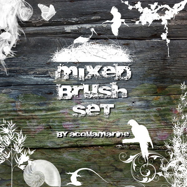 mixed brushes