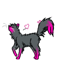 Stella Kitty by Comet-of-stars on DeviantArt