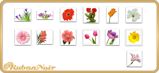 ImagePack 07 - Flowers