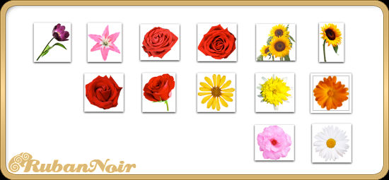 ImagePack 08 - Flowers