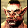 the Warlord Orc