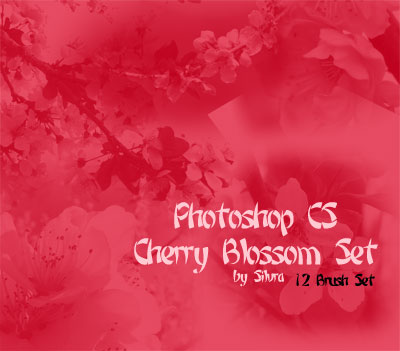 Cherry Blossom :: PS - CS