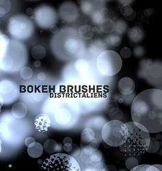 BOKEH BRUSHES