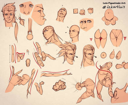 Tutorials and Tips anatomy