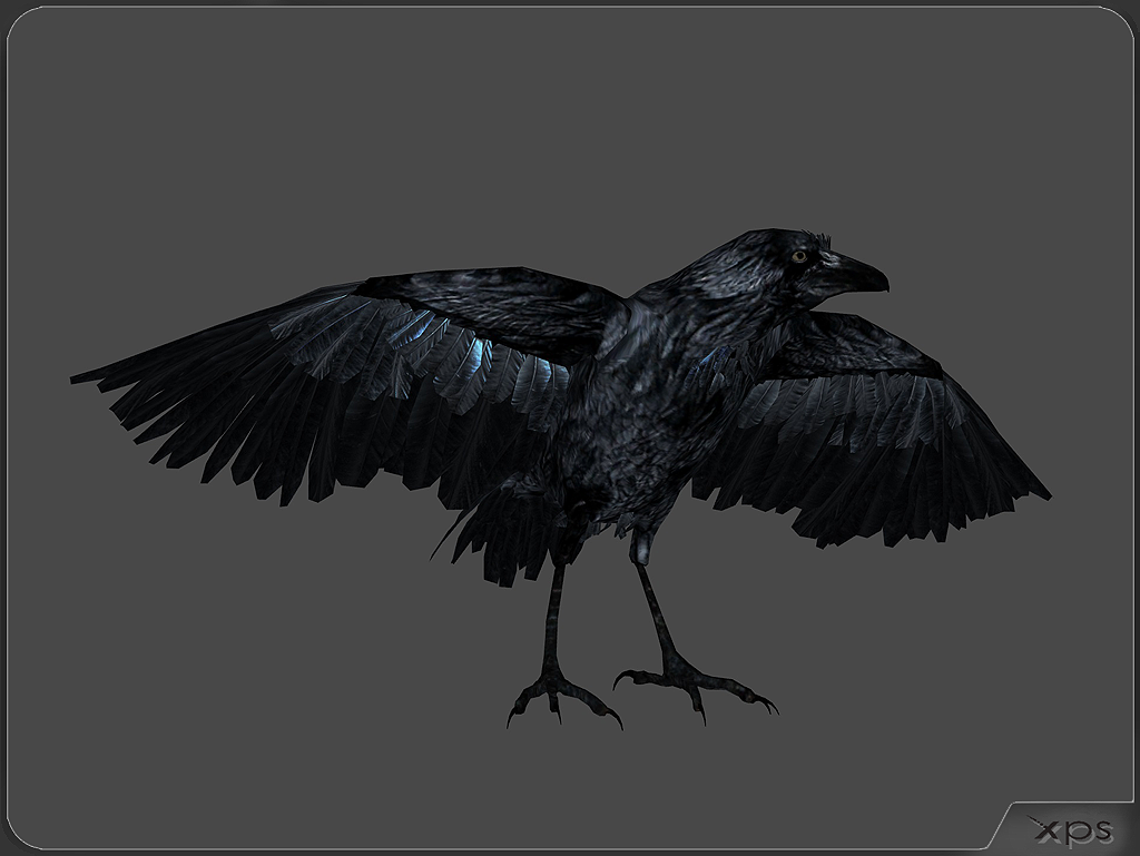 Black raven by aleksiszet by aleksiszet on DeviantArt