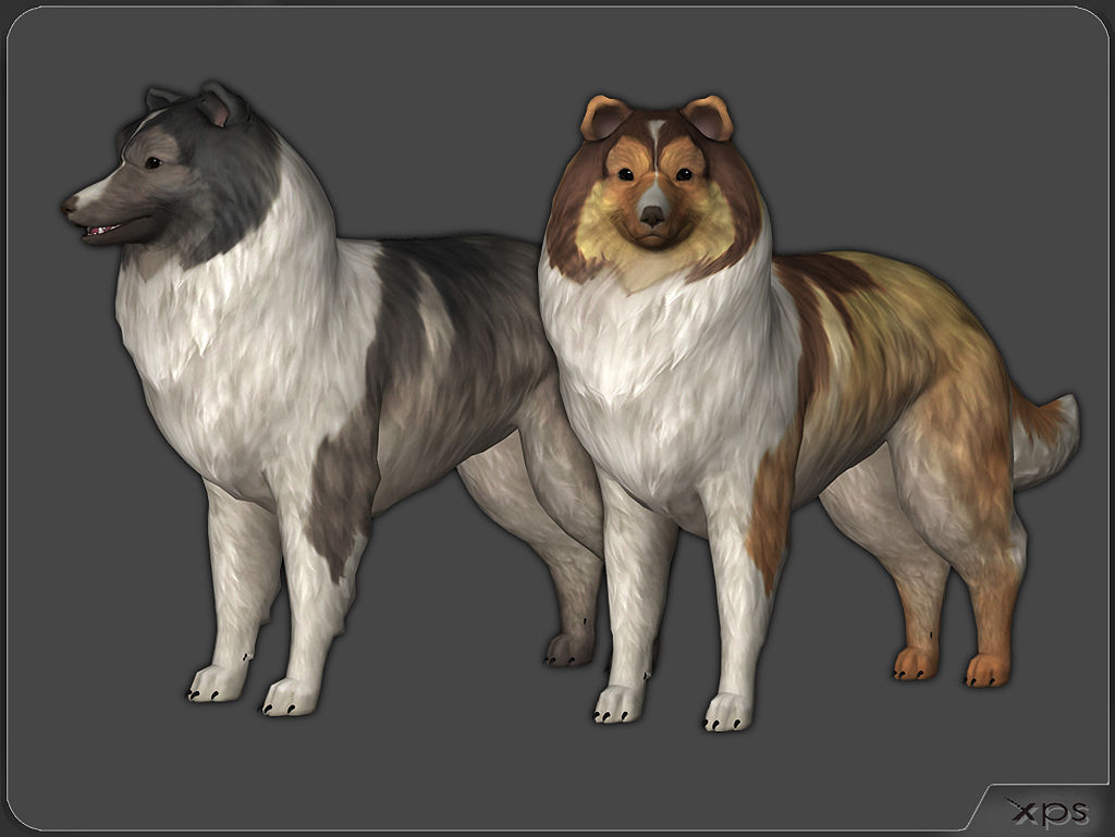 Nintendogs sheltie deals