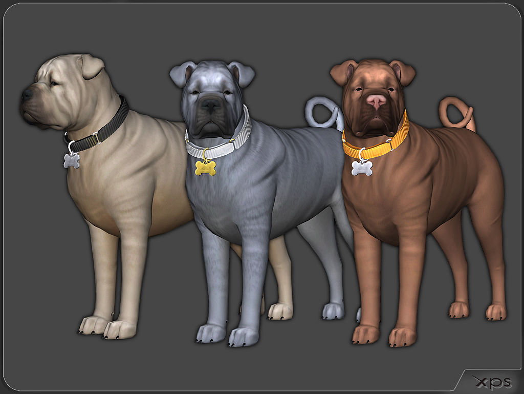 Dog Shar Pei (TS4) by aleksiszet by aleksiszet on DeviantArt