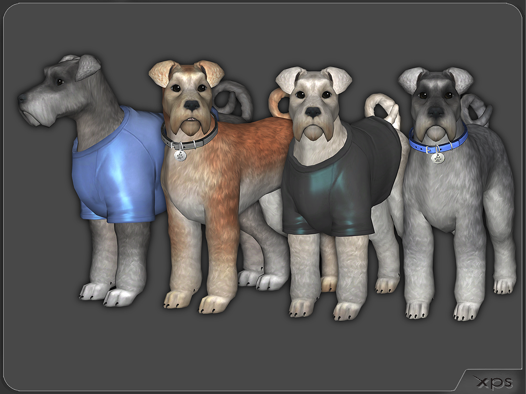 Dog Miniature Schnauzer (TS4) by aleksiszet by aleksiszet on DeviantArt