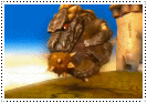 Bash Stamp by txwhitewolf