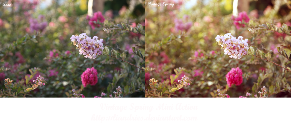 Vintage Spring Mini Action