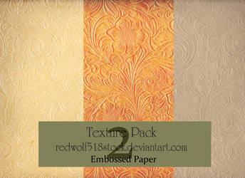 Embossed Paper Texture Pack 2 by redwolf518stock