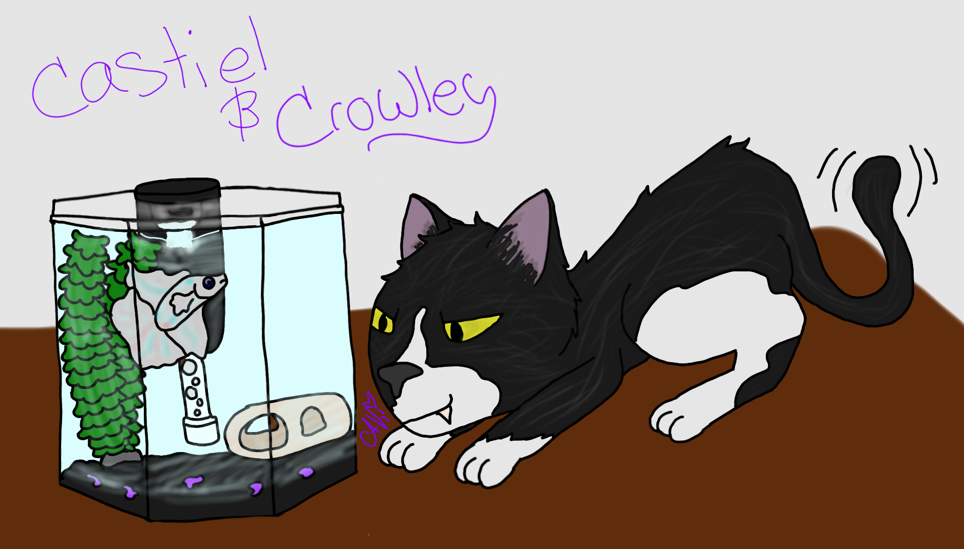 My Pets by CrazyWereWolf44 on DeviantArt