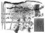 JS Monzani - Lozane brushes 1 by jsmonzani