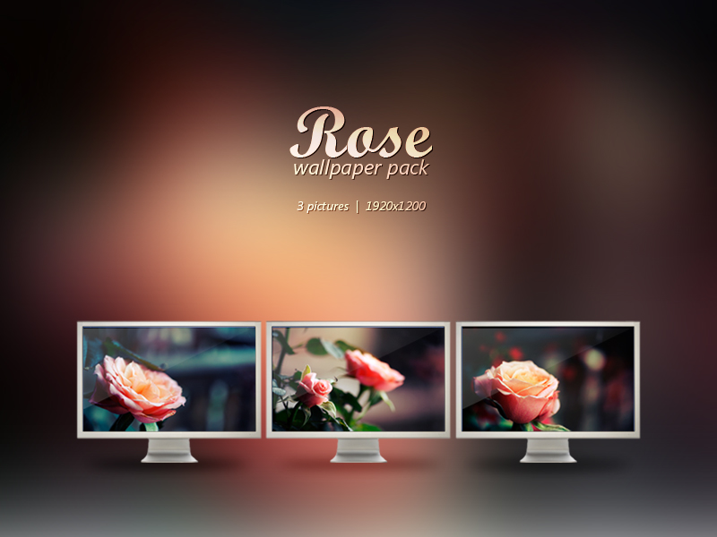 Rose Wallpaper Pack