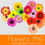Flowers PNG
