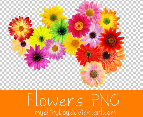 Flowers PNG