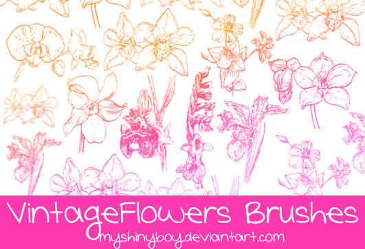 Vintage Flowers Brushes by MyShinyBoy