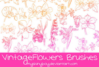 Vintage Flowers Brushes