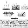 Brushes Pack .02