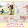 Action 29