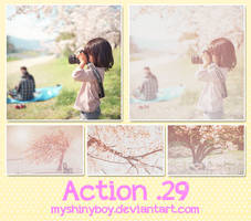 Action 29