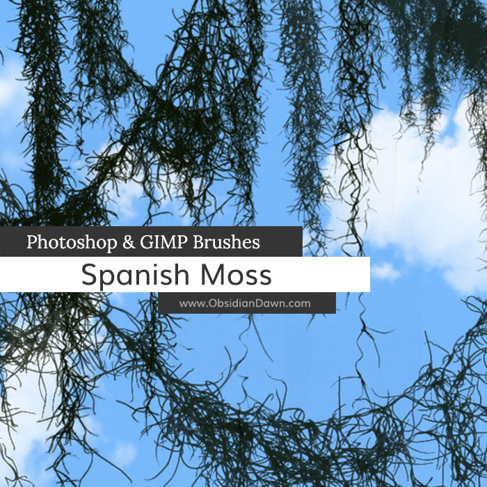 Spanish Moss Photoshop and GIMP Brushes