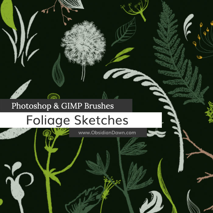 Foliage Sketches Photoshop and GIMP Brushes