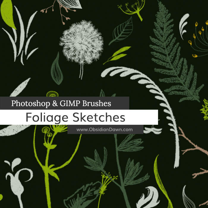Foliage Sketches Photoshop and GIMP Brushes by redheadstock on DeviantArt