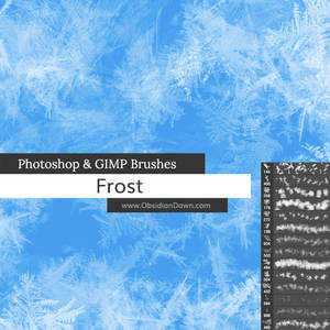 Frost Texture Photoshop and GIMP Brushes