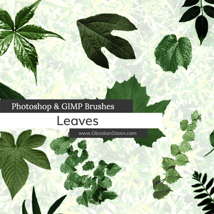 Leaves Photoshop and GIMP Brushes by redheadstock on DeviantArt