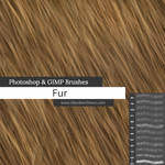 Fur Photoshop Brushes