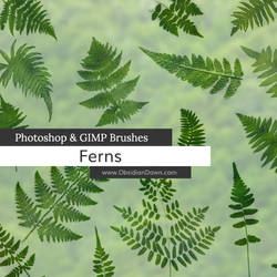 Ferns Photoshop and GIMP Brushes