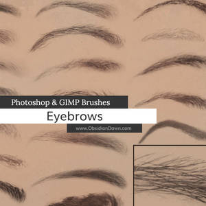 Eyebrows Photoshop and GIMP Brushes