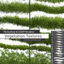 Vegetation / Foliage Textures Photoshop Brushes