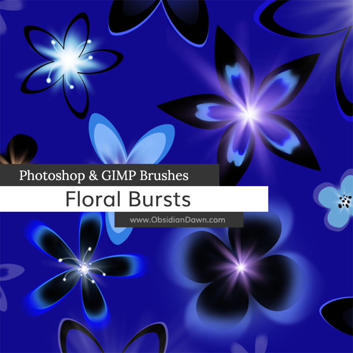 Floral Bursts Photoshop and GIMP Brushes