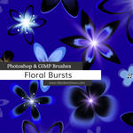 Floral Bursts Photoshop and GIMP Brushes